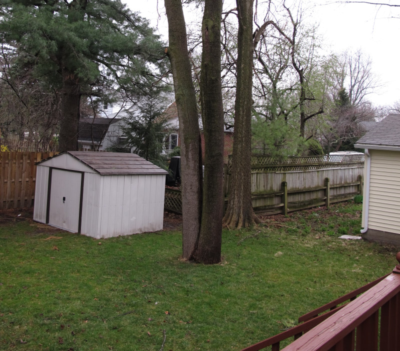 Treehouse progress photo