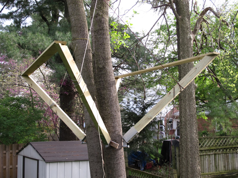Treehouse progress photo