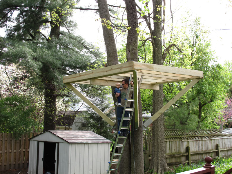 Treehouse progress photo
