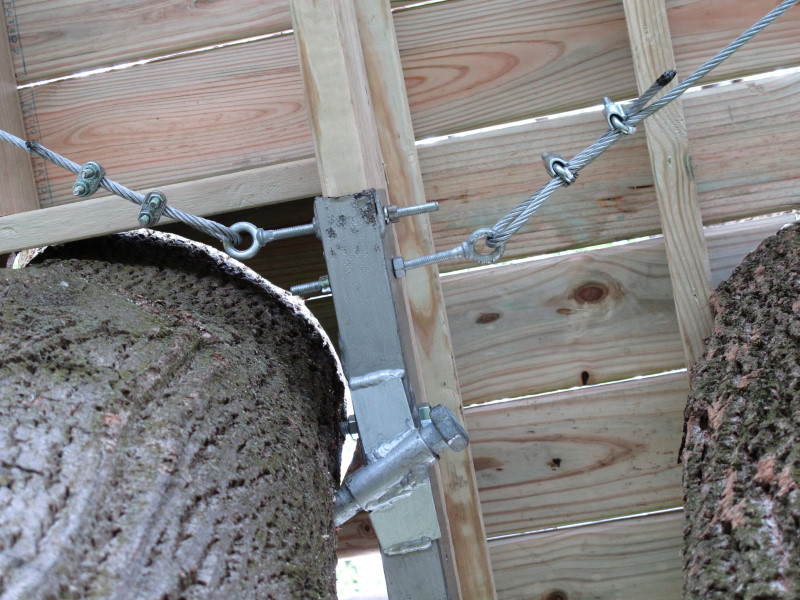Treehouse progress photo