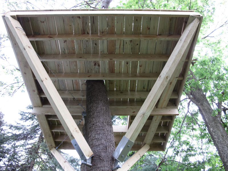 Treehouse progress photo