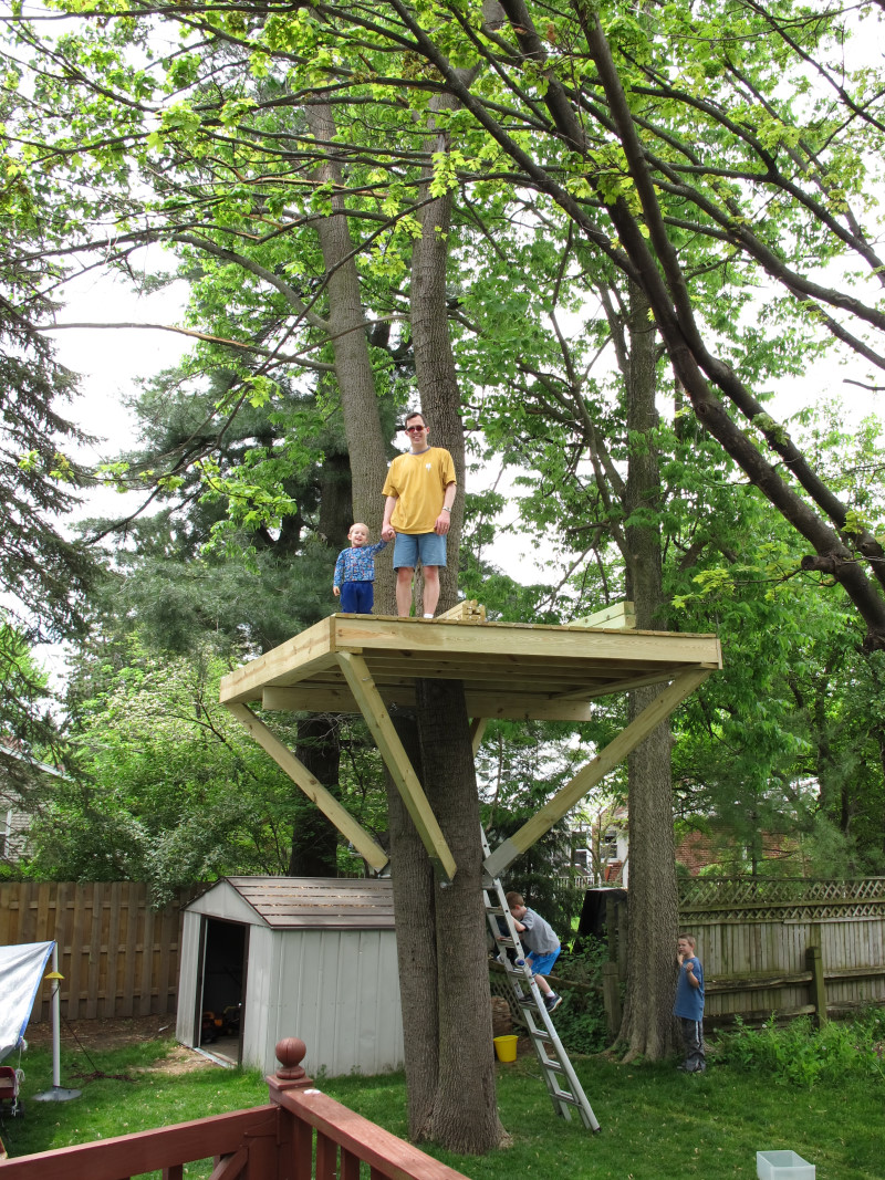 Treehouse progress photo