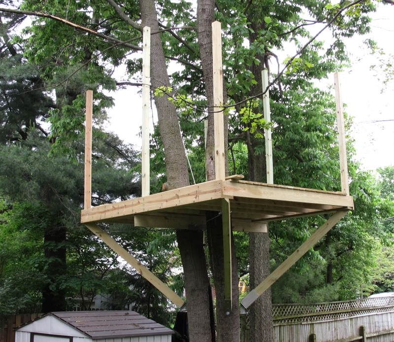 Treehouse progress photo