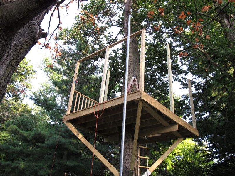 Treehouse progress photo