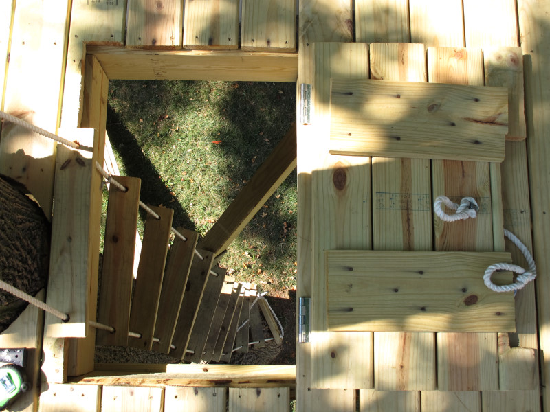 Treehouse progress photo
