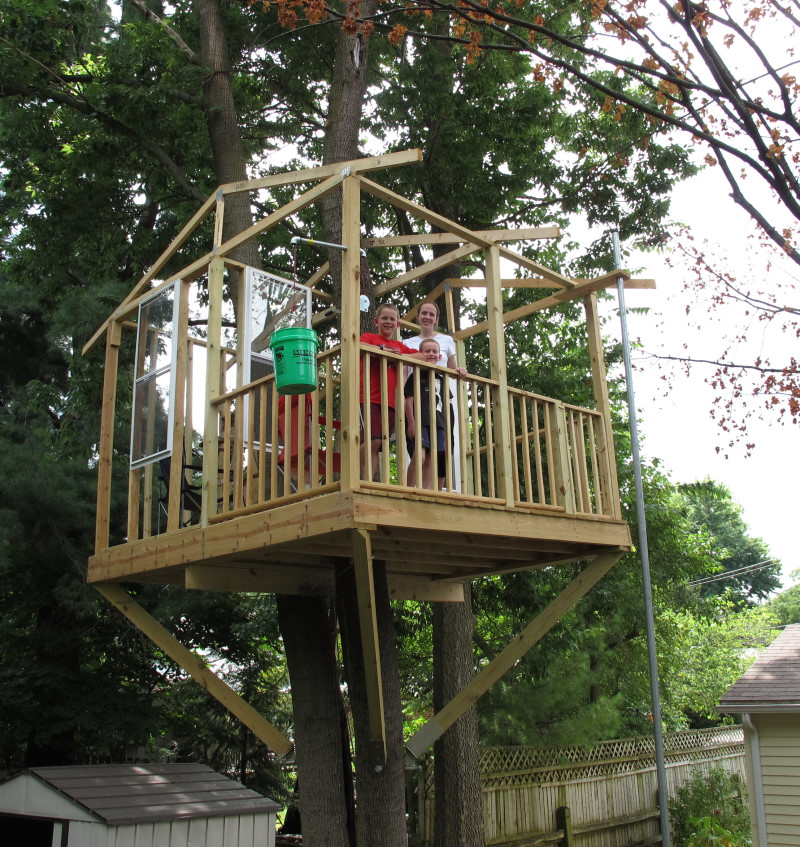 Treehouse progress photo