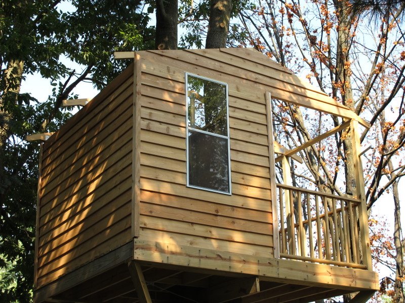 Treehouse progress photo