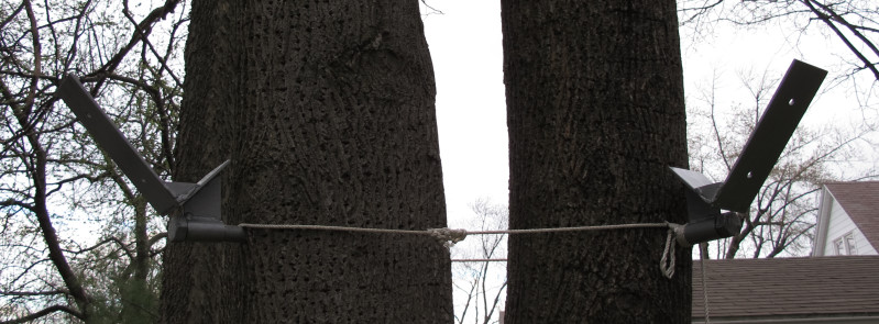 Treehouse progress photo