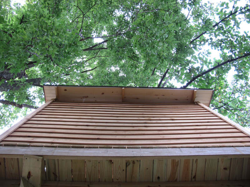 Treehouse progress photo