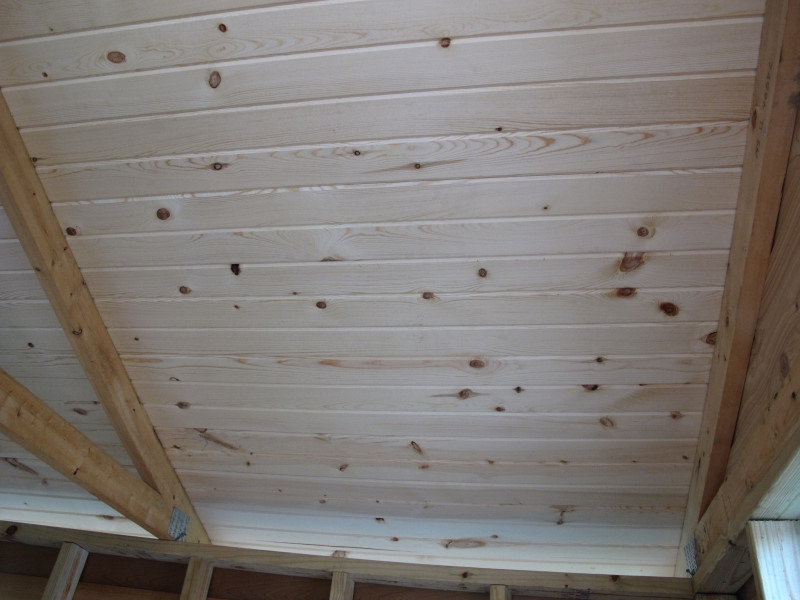 Treehouse progress photo