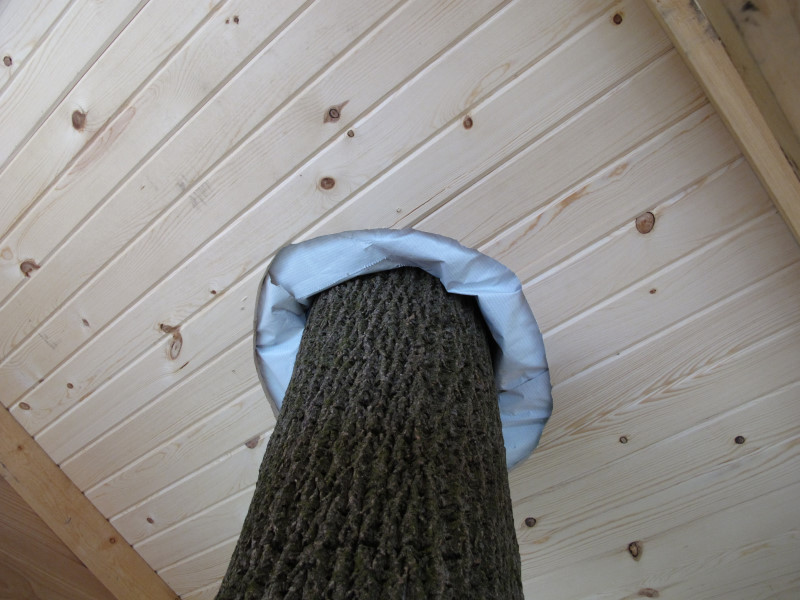 Treehouse progress photo
