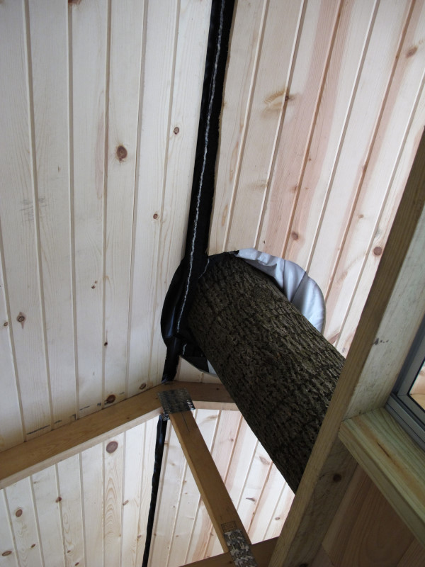 Treehouse progress photo