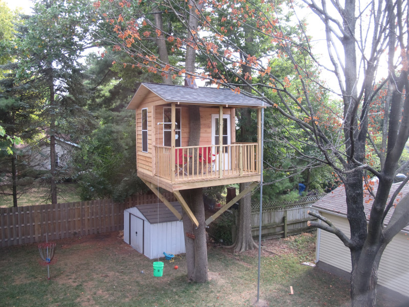 Treehouse progress photo