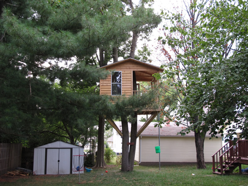 Treehouse progress photo