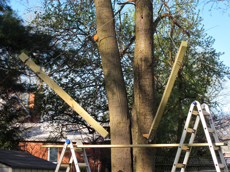 Treehouse progress photo