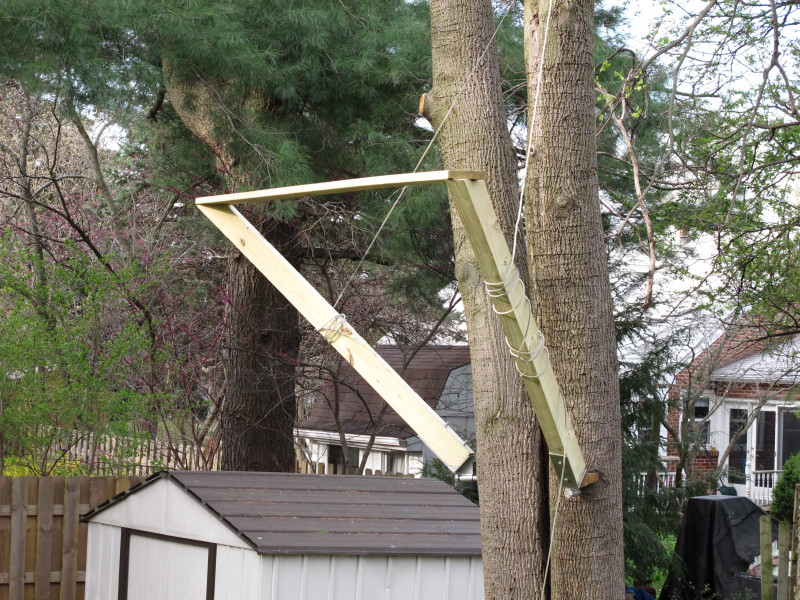 Treehouse progress photo